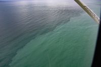 220 - Kaikoura