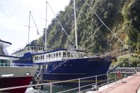 304 - Milford Sound