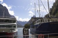 307 - Milford Sound