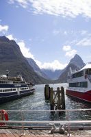 310 - Milford Sound