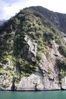 323 - Milford Sound