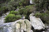 373 - Milford Sound