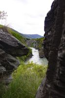 393 -  Kawarau-Brücke