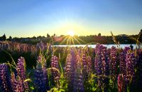 Sonnenuntergang am Lake Tekapo