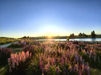 Abendstimmung am Lake Tekapo