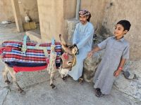 Misfah al Abreen