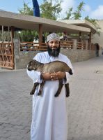 Viehmarkt Nizwa