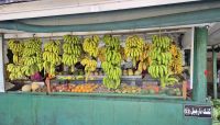 Obststand in Salalah