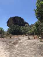 DB569D3A-A390-4C64-B6EA-3EE955F47179