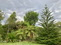 Botanischer Garten, Melbourne 
