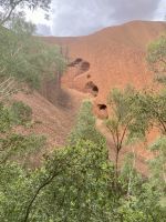 Ayers Rock, Outback