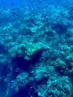 Great Barrier Reef 