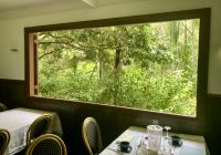 Mittagessen Daintree Tea House