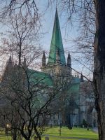 Nidarosdom (4)
