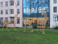 Trondheim Eindrücke (2)