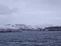 Im Nordmeer (1)