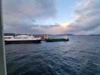 Winterimpressionen (1)