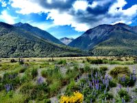 Landschaft am Arthur's Pass