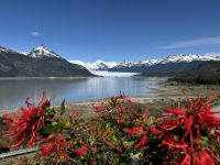 Perito Moreno