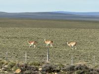 Fahrt nach Chile 