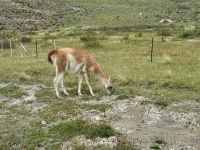 Torres del Paine