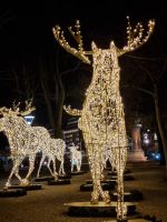 Weihnachtlicher Spaziergang durch Stockholm - 