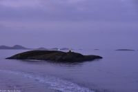 Helgelandsküste - Insel Viking - mit dem Polarkreis-Globus