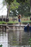 Morgenwäsche im Orinoco Delta