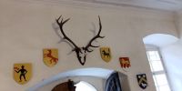 Tag 2 - Wappenverzierung im Schloss Zeilitzheim 
