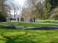 Insel Mainau