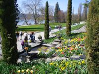 Insel Mainau