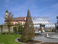 Palmenhaus auf der Insel Mainau