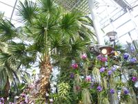 Orchideenhaus auf der Insel Mainau