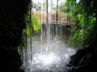 Schmetterlingshaus auf der Insel Mainau