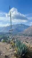 Urubamba- Cuzco - Peru