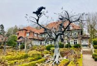 Tag 2 - Barockgarten