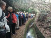 Levada-Wanderung: eine von ca. 2.500 km Levadas auf der Insel
