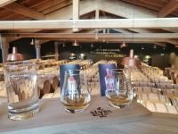 Die Whisky-Verkostung