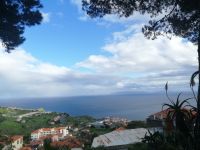 Blick auf Canico vom Kräutergarten Quinta Splendida