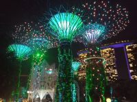 Supertree Grove, Musik- und Lichtshow 