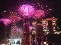 Supertree Grove, Musik- und Lichtshow 