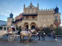 2024-Silvesterreise Krakau: Tuchhalle mit polnischen Fiaker 