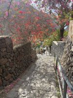 Masca