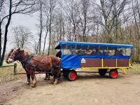 Tag 4 - Kutschfahrt durch die Heide