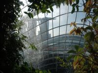 Cloud Forest 
