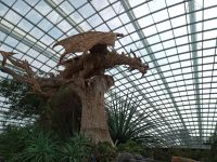 Kunstwerke im flower dome
