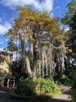 Im botanischen Garten
