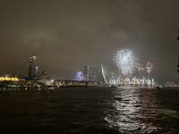 Rotterdam - Silvesterfeuerwerk an der Erasmusbrücke
