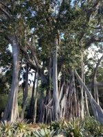 Botanischer Garten 