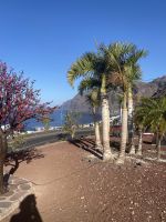 Aussichtspunkt Los Gigantes